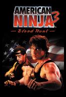 American Ninja 3