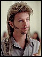 David Spade is Joe Dirt